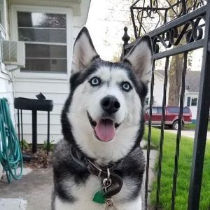 Meet your Posher, Aja